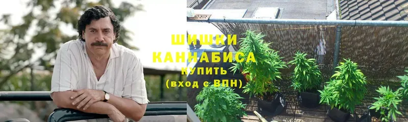 Бошки марихуана Amnesia  магазин    Жердевка 